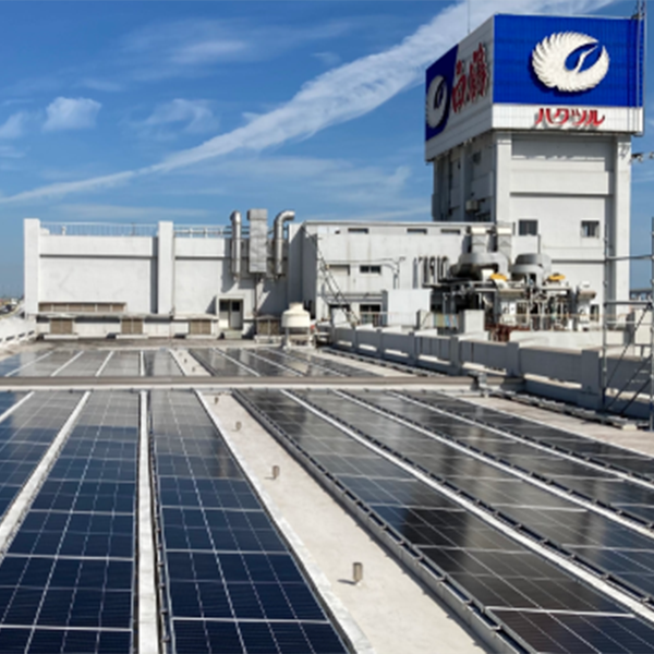 本店三号工場の屋上ではSDGsの取り組みの一環として太陽光パネルを設置しています。
