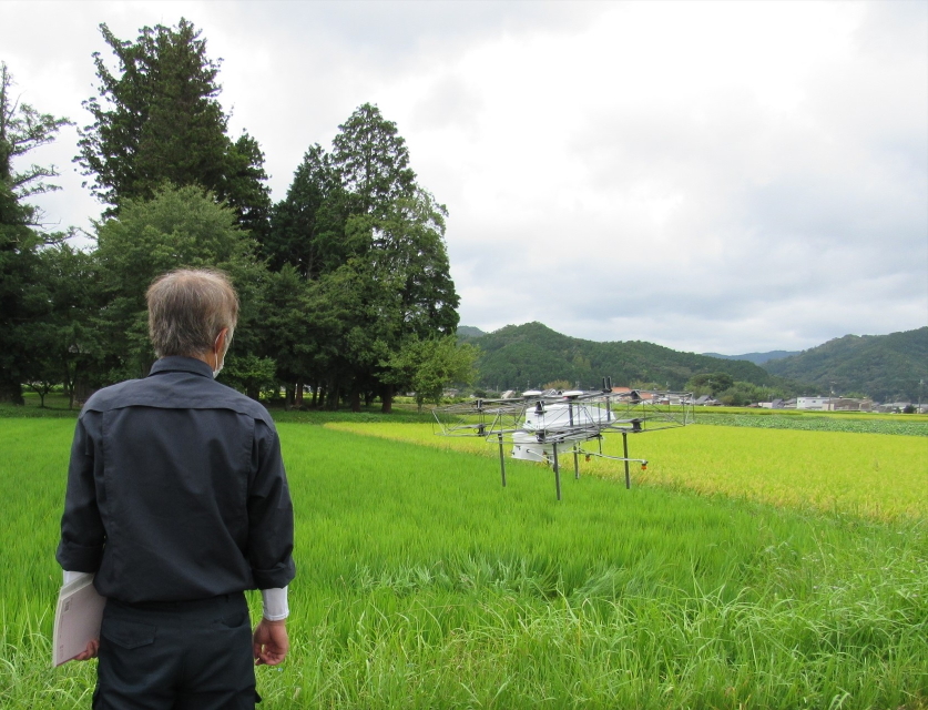 「白鶴錦」圃場での農業用ドローンの活用