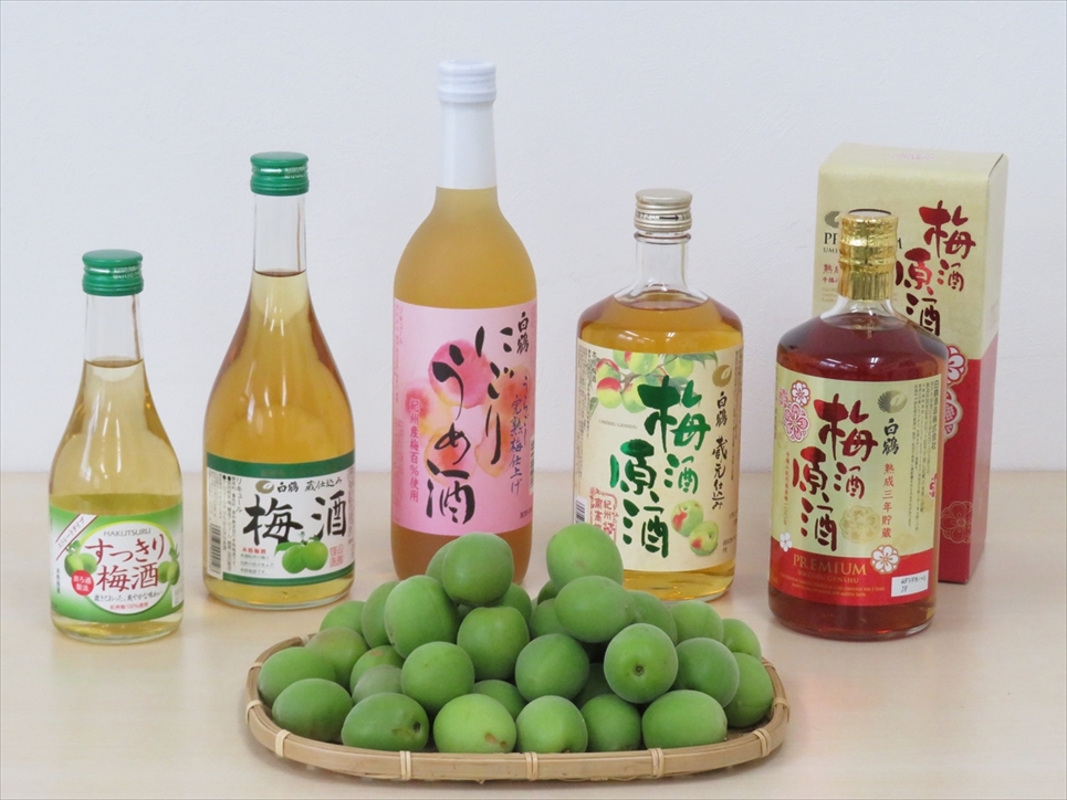 酒蔵の「本格梅酒の仕込み」開始 ～産地直送の紀州産の梅実100%使用