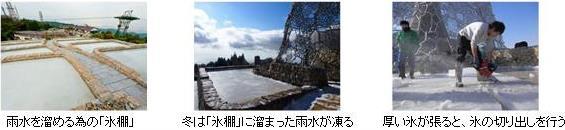 六甲枝垂れリリース用画像.jpg