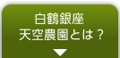 白鶴銀座天空農園とは？