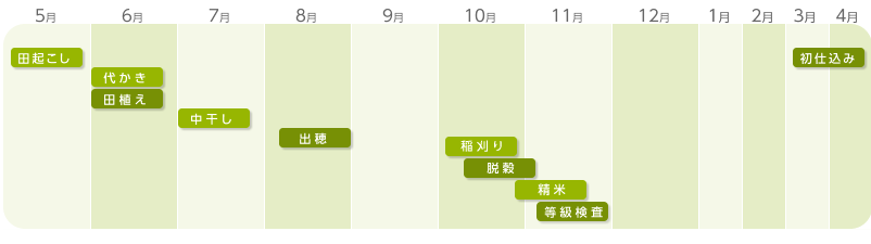 年間スケジュール