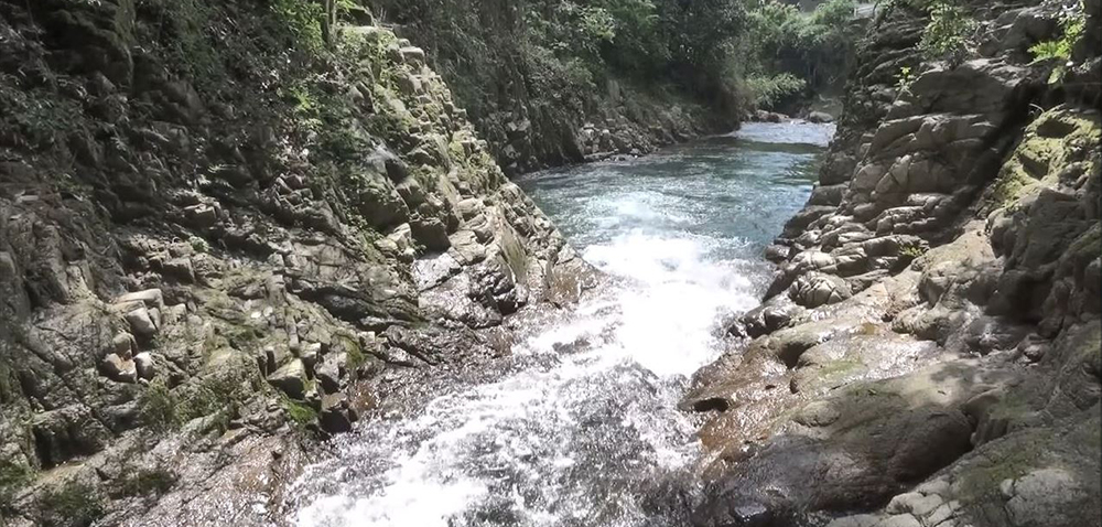 ミネラルを豊富に含む六甲山系の水。