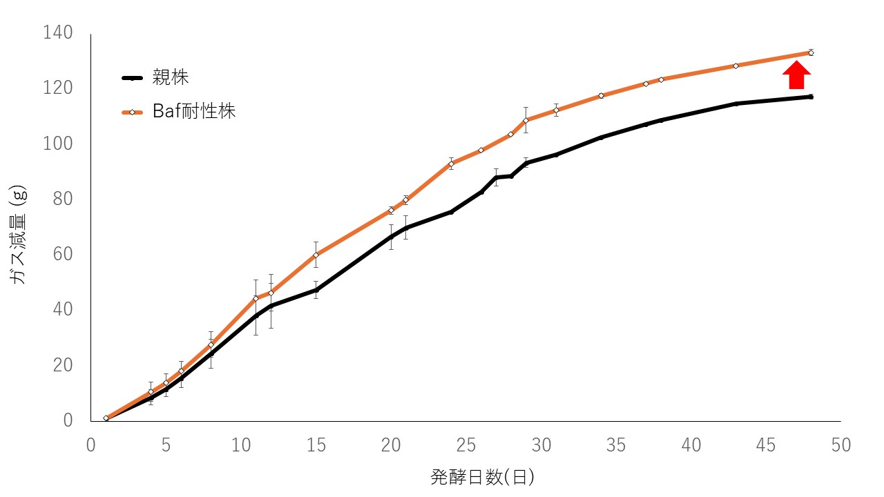 Baf耐性株と親株の発酵性および酸度の比較