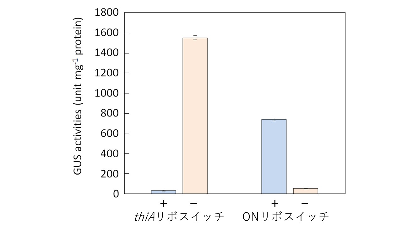 TPP結合型ONリボスイッチの応用