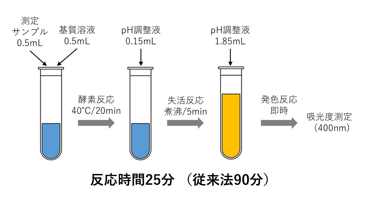 酸性プロテアーゼ測定キットによる酵素活性の測定
