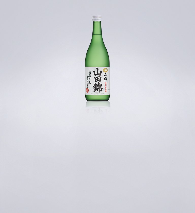 デイリー