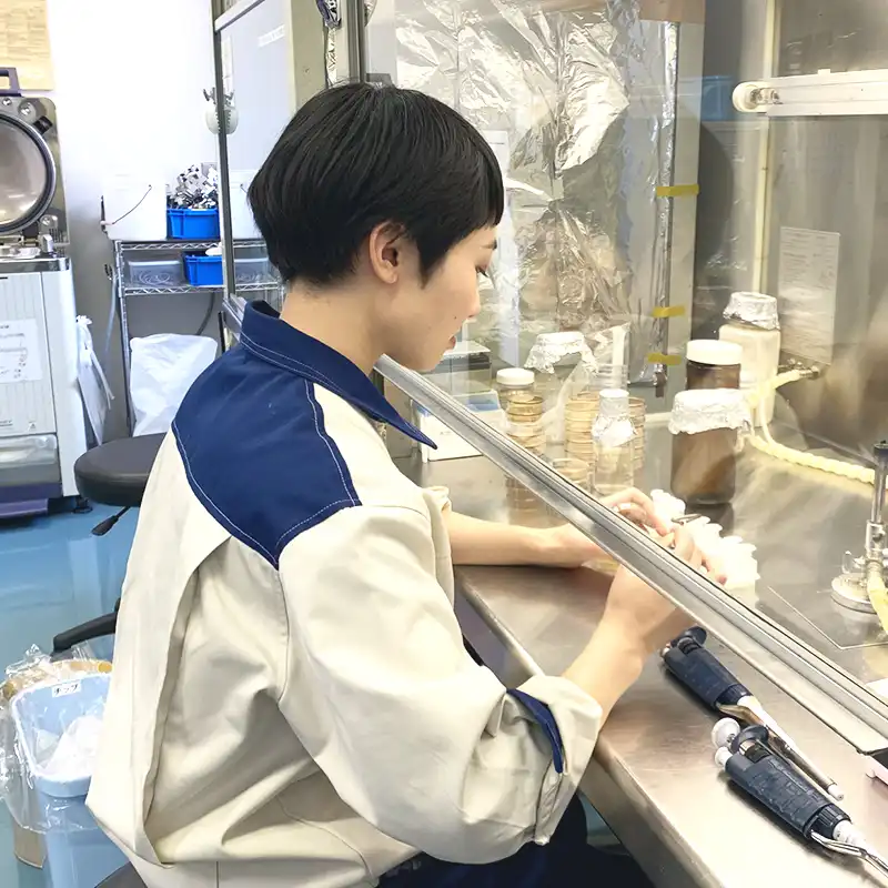 これが私の仕事!