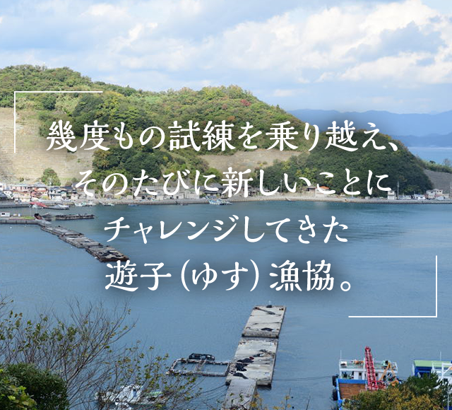 幾度もの試練を乗り越え、そのたびに新しいことにチャレンジしてきた遊子（ゆす）漁協。