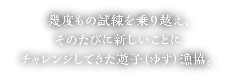 幾度もの試練を乗り越え、そのたびに新しいことにチャレンジしてきた遊子（ゆす）漁協。