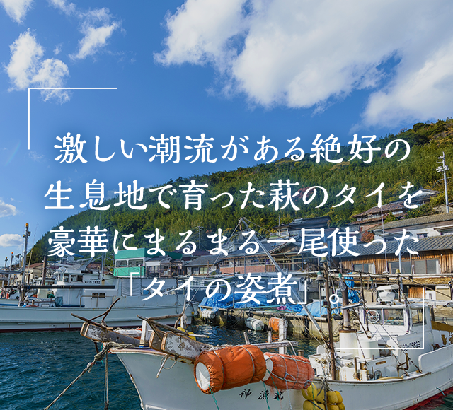 激しい潮流がある絶好の生息地で育った萩のタイを豪華にまるまる一尾使った「タイの姿煮」。