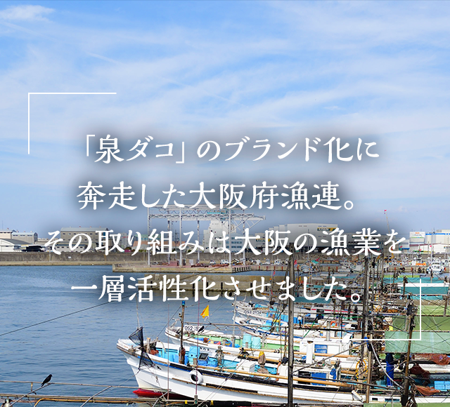 「泉ダコ」のブランド化に奔走した大阪府漁連。その取り組みは大阪の漁業を一層活性化させました。