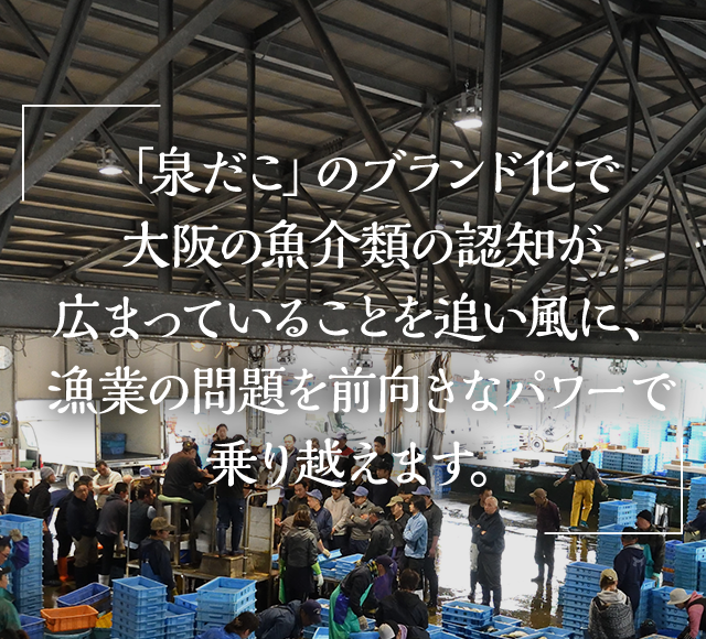 「泉だこ」のブランド化成功を追い風に漁業の問題を新たなチャレンジで乗り越えます。