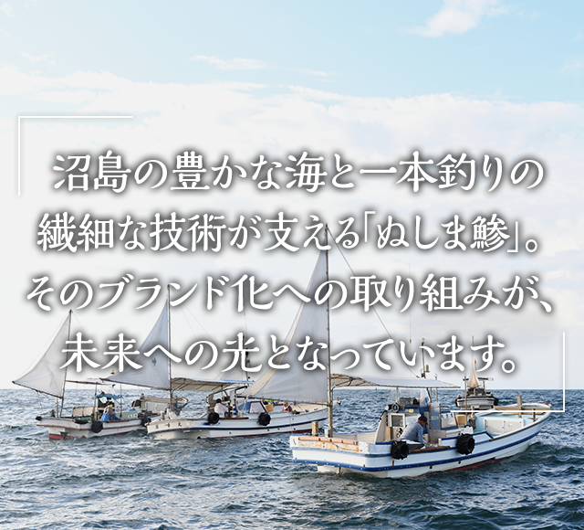 沼島の豊かな海と一本釣りの繊細な技術が支える「ぬしま鯵」。そのブランド化への取り組みが、未来への光となっています。