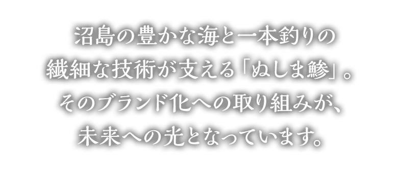 沼島の豊かな海と一本釣りの繊細な技術が支える「ぬしま鯵」。そのブランド化への取り組みが、未来への光となっています。