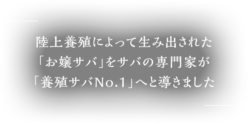 陸上養殖によって生み出された「お嬢サバ」をサバの専門家が「養殖サバNo.1」へと導きました