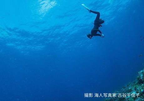 撮影 海人写真家 古谷千佳子