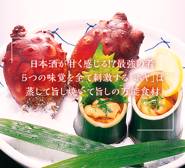 日本酒が甘く感じる！？最強の肴5つの味覚を全て刺激する「ホヤ」は蒸して旨し焼いて旨しの万能食材