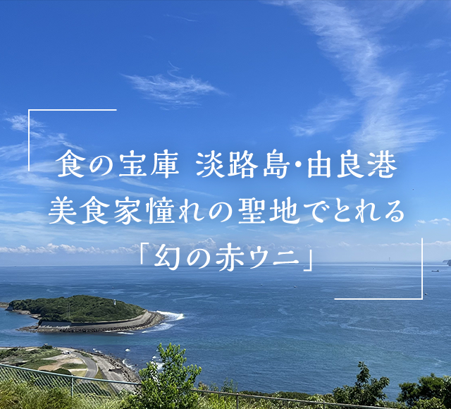 食の宝庫　淡路島・由良港 美食家憧れの聖地でとれる「幻の赤ウニ」