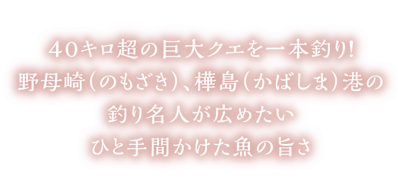 ４０キロ超の巨大クエを一本釣り！野母崎（のもざき）、樺島（かばしま）港の釣り名人が広めたい ひと手間かけた魚の旨さ