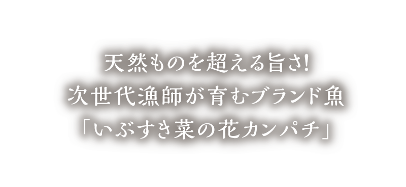 天然ものを超える旨さ！次世代漁師が育むブランド魚「いぶすき菜の花カンパチ」
