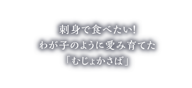 刺身で食べたい！わが子のように愛み育てた「むじょかさば」