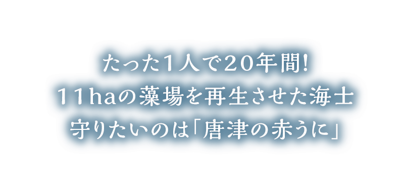 たった１人で２０年間！１１ｈａの藻場を再生させた海士守りたいのは「唐津の赤うに」