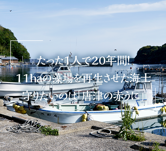 たった１人で２０年間！１１ｈａの藻場を再生させた海士守りたいのは「唐津の赤うに」