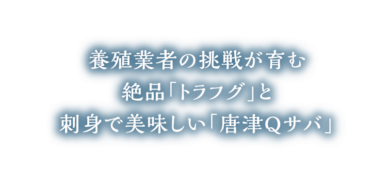 養殖業者の挑戦が育む絶品「トラフグ」と刺身で美味しい「唐津Ｑサバ」