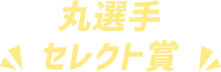 丸選手 セレクト賞