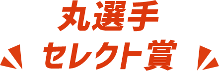 丸選手 セレクト賞