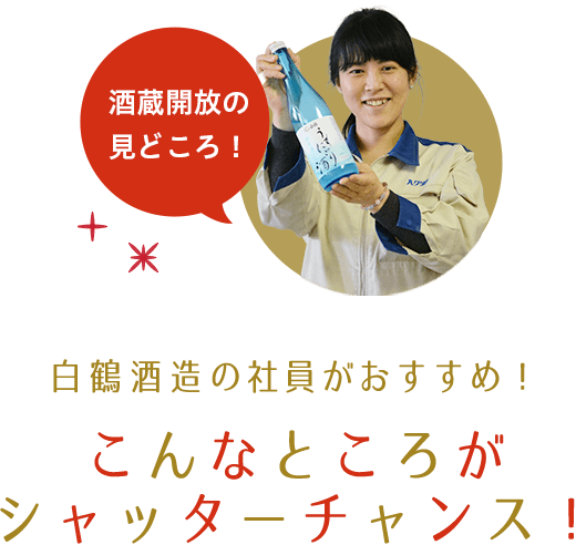 酒蔵開放の見どころ！白鶴酒造の社員がおすすめ！こんなところがシャッターチャンス！