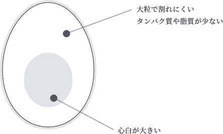 白鶴錦の特徴