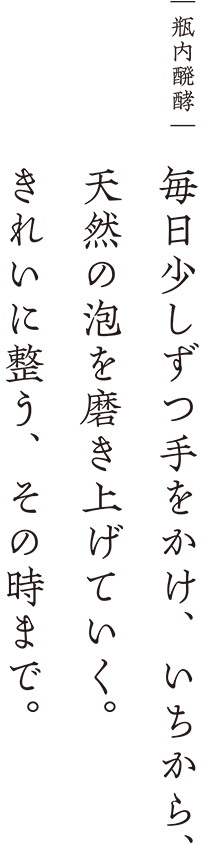 ｜瓶内醗酵｜ 毎日少しずつ手をかけ、いちから、天然の泡を磨き上げていく。きれいに整う、その時まで。