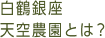 白鶴銀座天空農園とは？