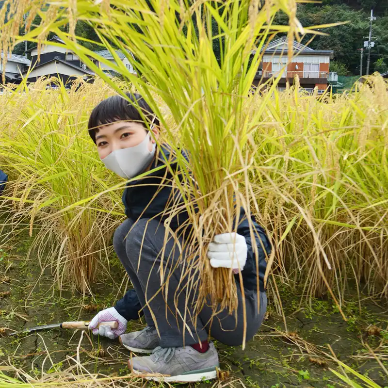 新人研修で感じたことは?