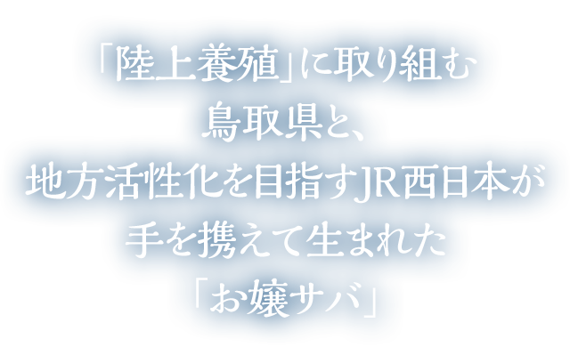 「陸上養殖」に取り組む鳥取県と、地方活性化を目指すJR西日本が手を携えて生まれた「お嬢サバ」