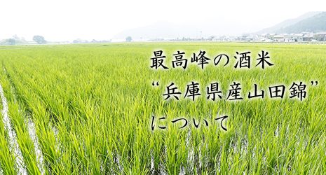 最高峰の酒米“兵庫県産山田錦”について